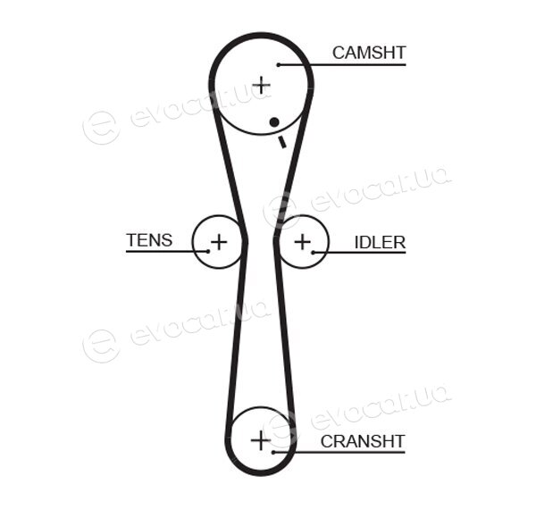 Gates K025547XS