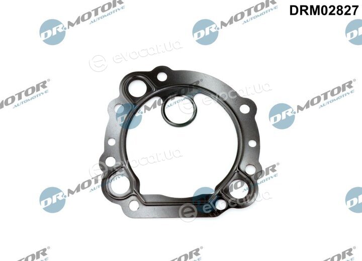 Dr. Motor DRM02827