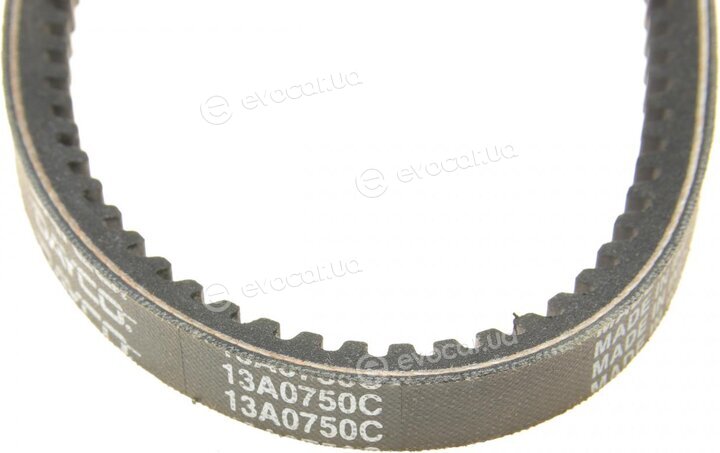 Dayco 13A0750C