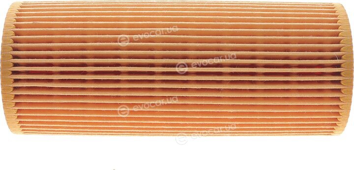 Solgy 101095