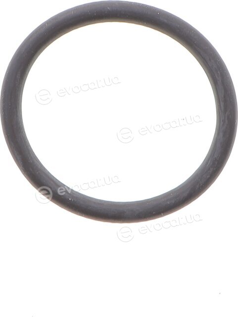 Elring 266.480