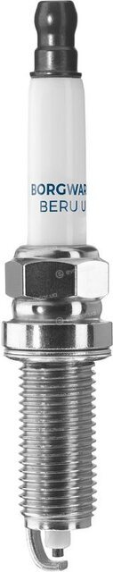 BorgWarner Z243