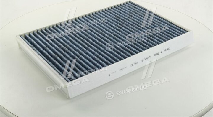 Mahle LAO 307