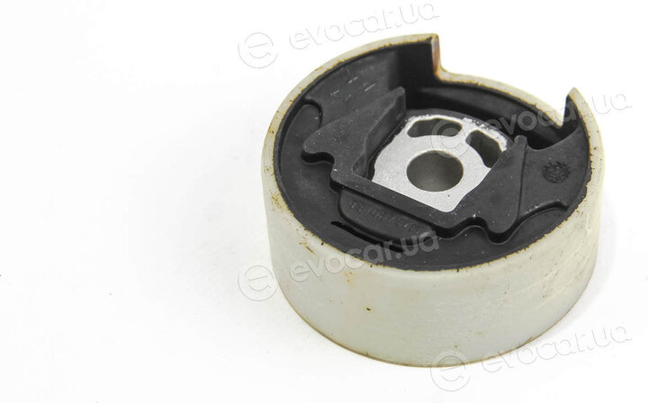 Anvis / Kleber M0310679DAM