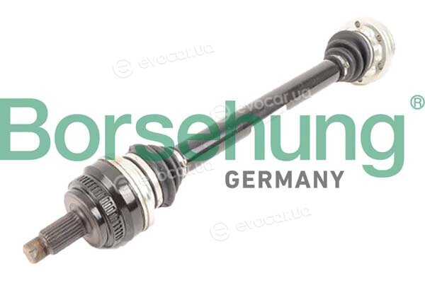 Borsehung B12485