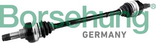 Borsehung B12489