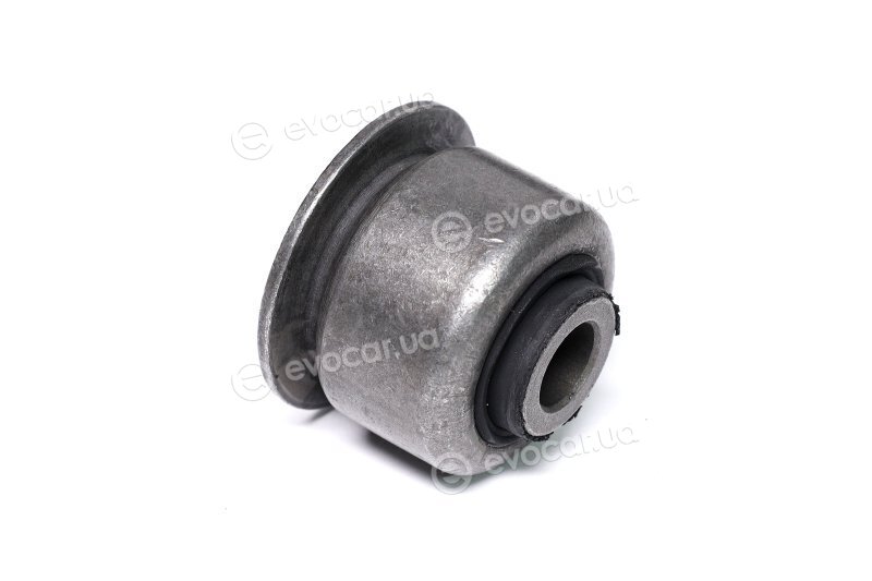 Sasic 2250013