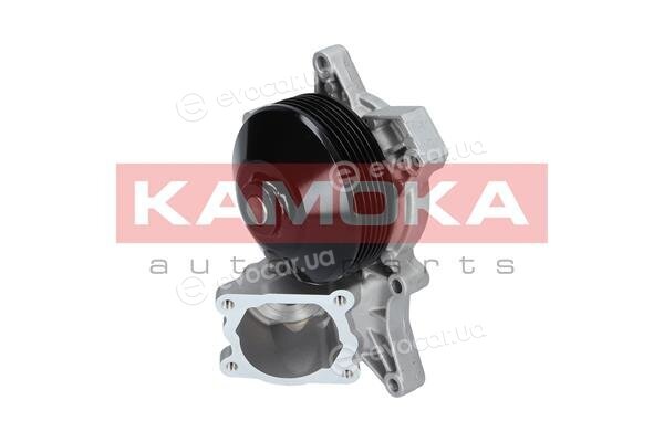 Kamoka T0048