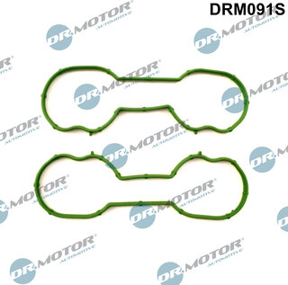 Dr. Motor DRM091S