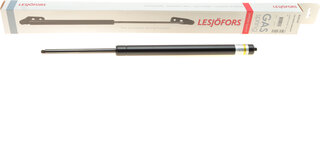 Lesjofors 8142102