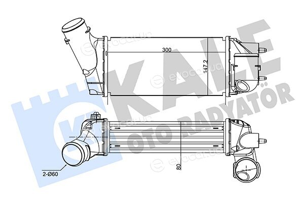 Kale 350845