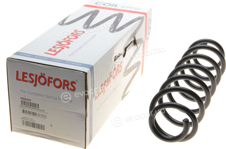 Lesjofors 4204293