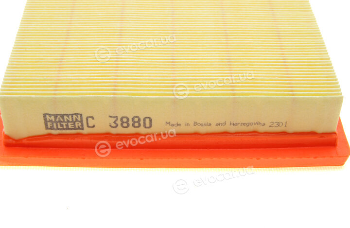 Mann C 3880