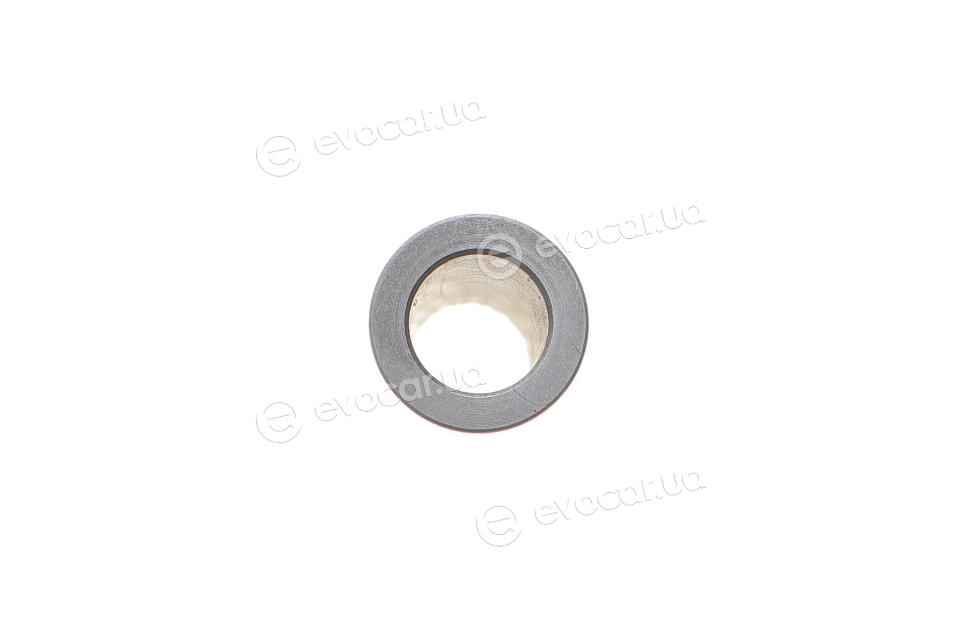Mahle 013 PI 00138 000