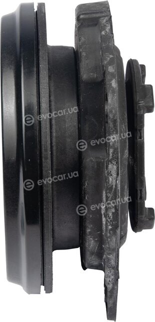 Raiso RC01527