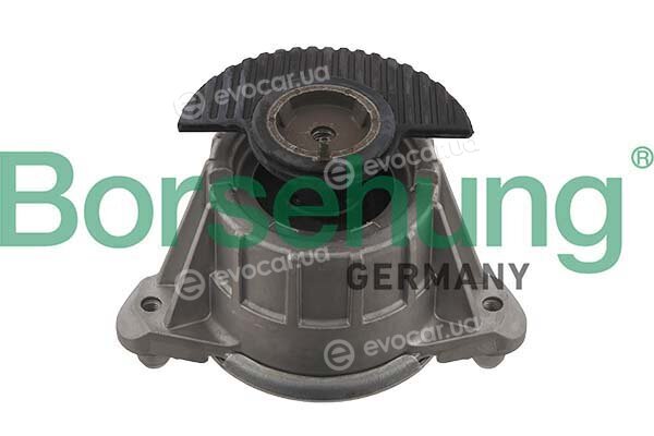 Borsehung B12643