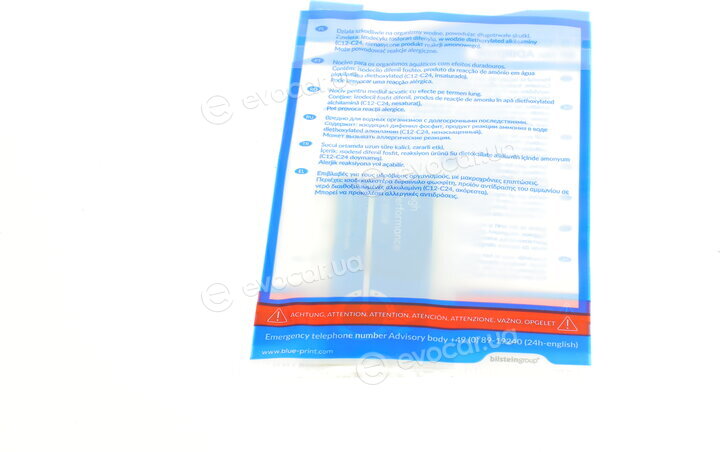Blue Print ADW193047
