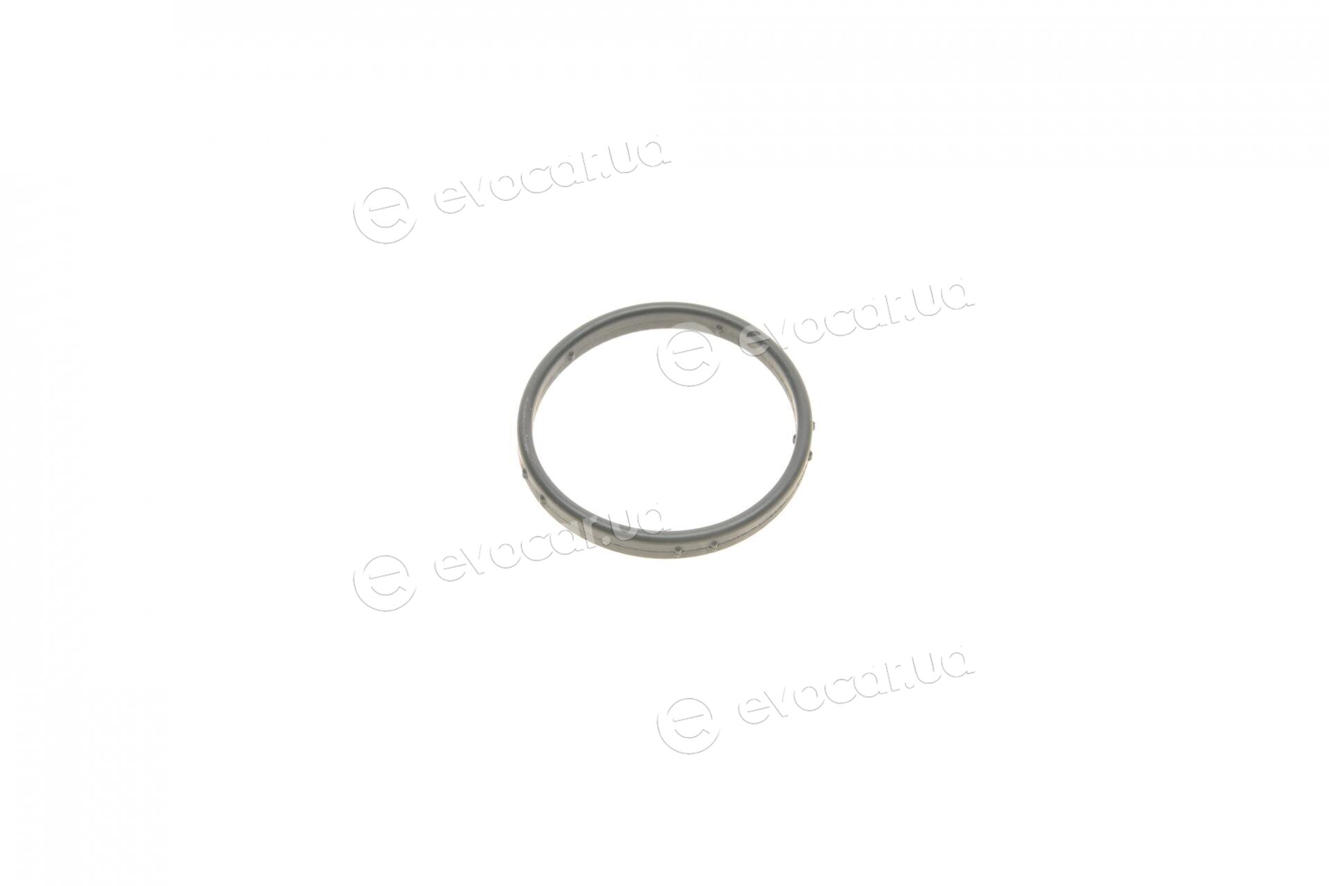 Elring 429.490