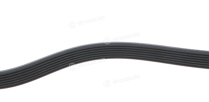 Dayco 7PK1148
