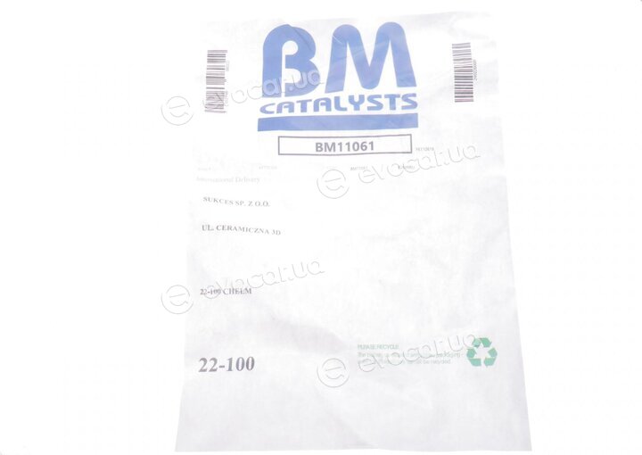 BM Catalysts BM11061