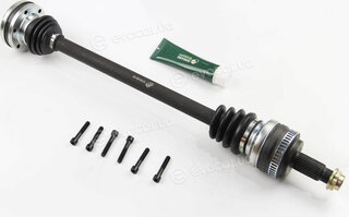 BGA DS0918R