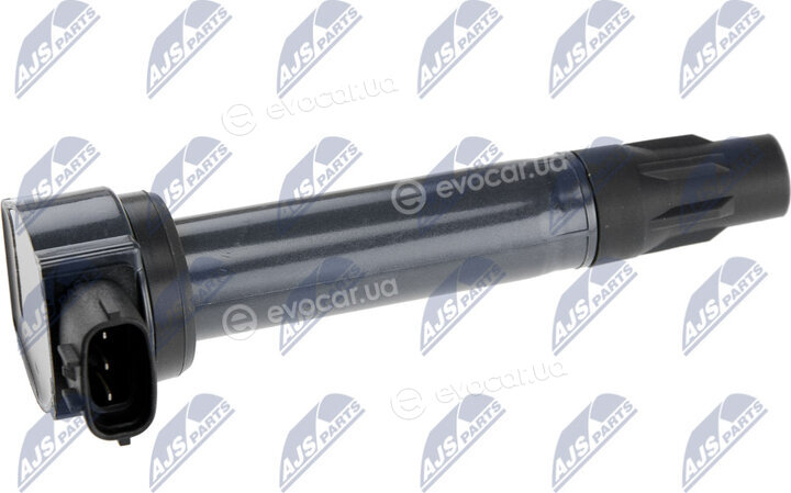 NTY ECZ-MS-013
