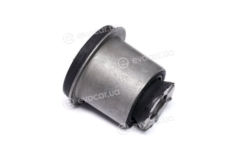 Sasic 2250011