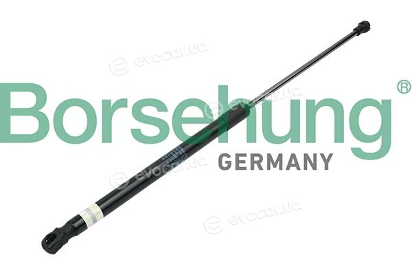 Borsehung B14189