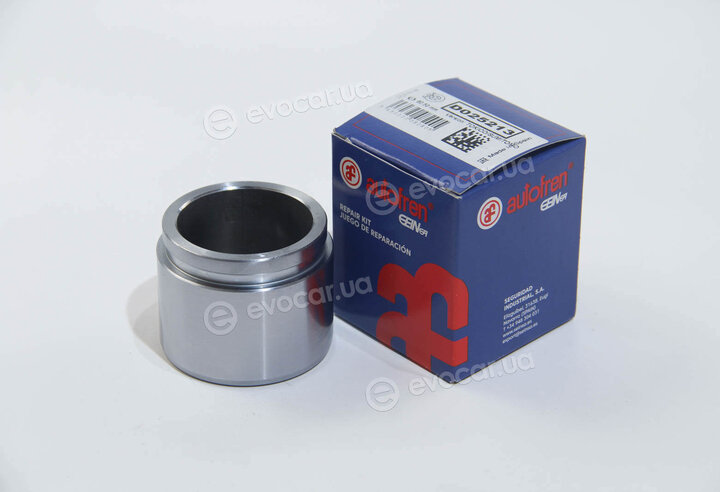 Autofren D025213