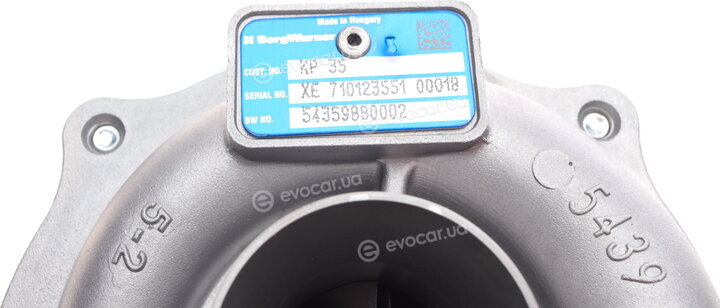 BorgWarner 54359880002