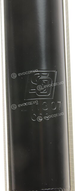 Solgy 211307