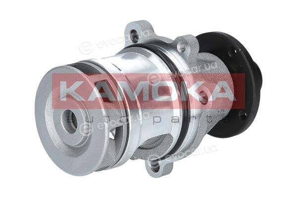 Kamoka T0057