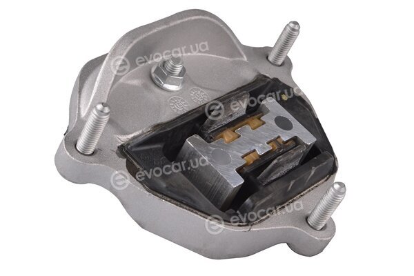 Tedgum TED88043