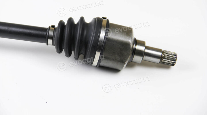 BGA DS1408L