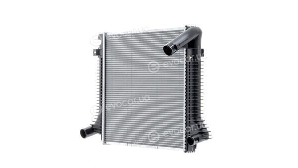 Mahle CR 1217 000P