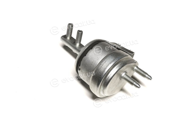 Sasic 9001918