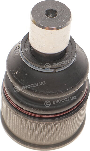 Magneti Marelli 301191618950