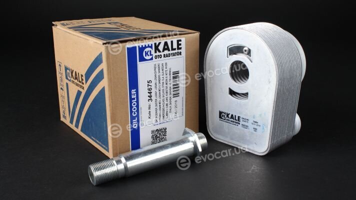 Kale 344675