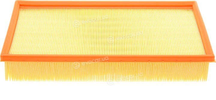 Mann C 33 156