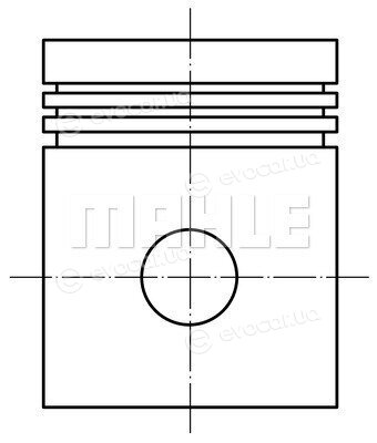 Mahle 22100