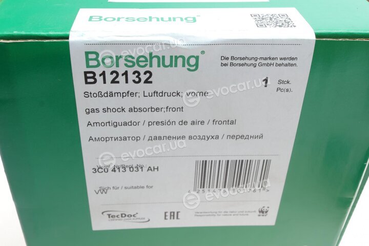 Borsehung B12132