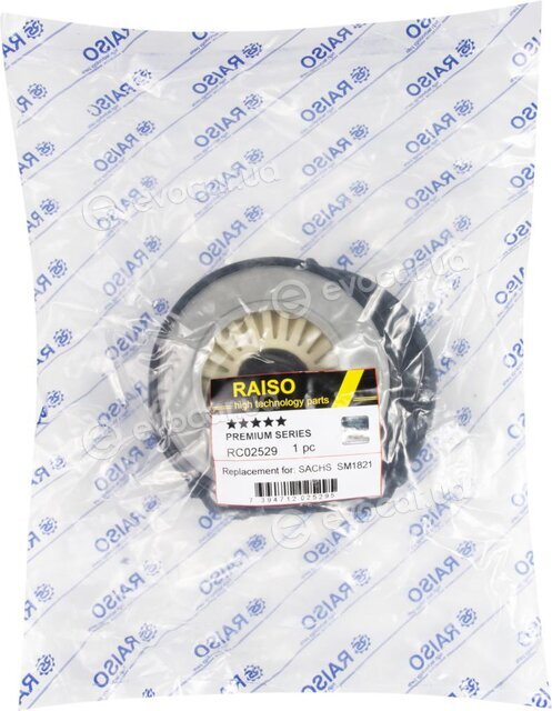 Raiso RC02529