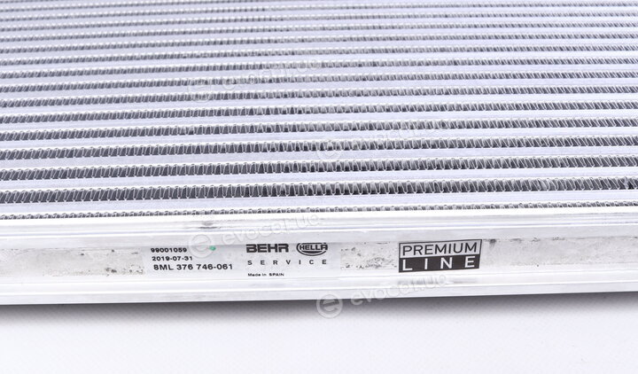 Mahle CI 161 000P