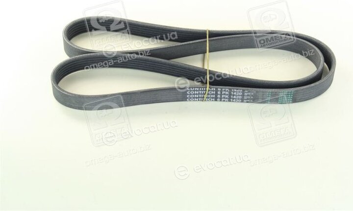 Continental 6PK1420