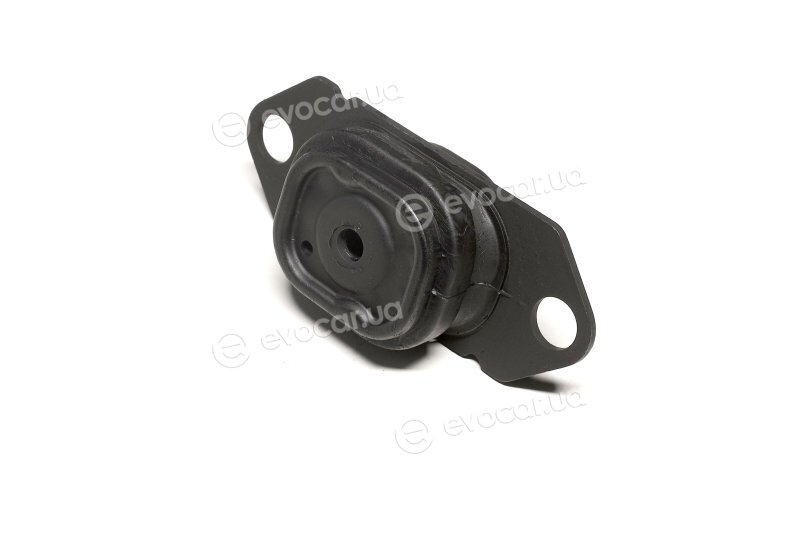 Sasic 4001823