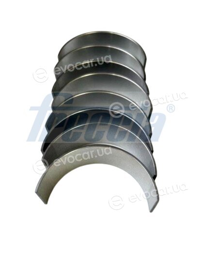 Freccia CR19-104800