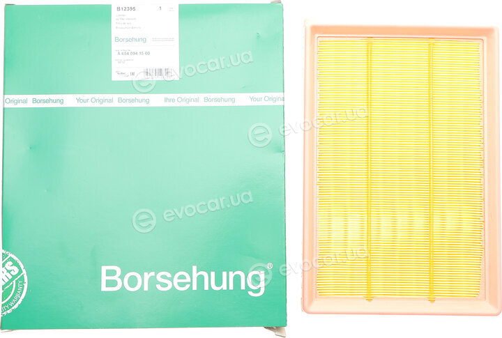 Borsehung B12395