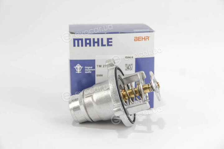 Mahle TM 27 101
