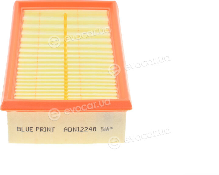 Blue Print ADN12248