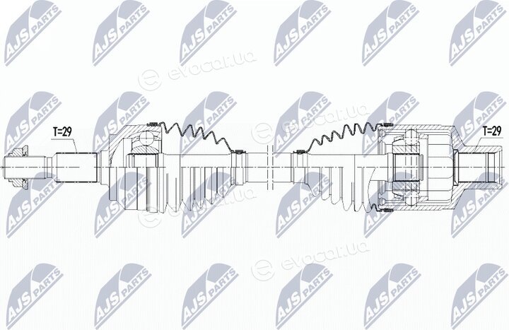 NTY NPW-CH-066